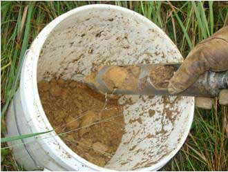 Thoroughly mix soil cores in a bucket to produce a more representative sample.