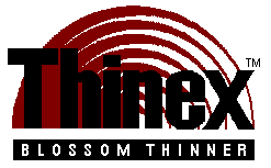 Thinex Logo