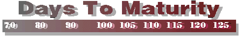 Days to Maturity