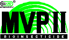 MVP II Logo