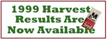 harvestresults2.jpg (10294 bytes)